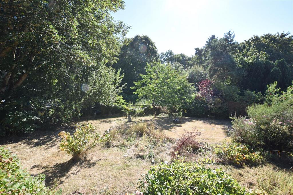 Garden two.jpg