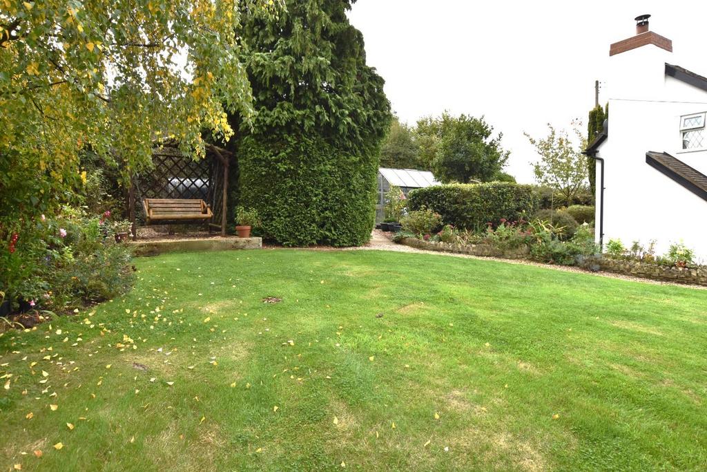 Garden.JPG