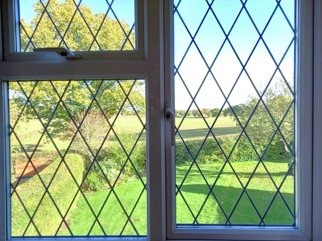 View from Bed 1.jpg