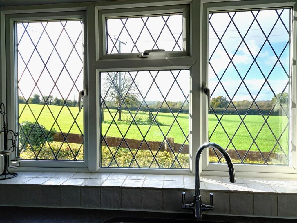 View from the Kitchen.jpg