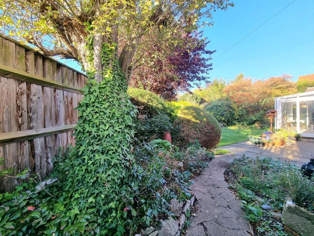 Rear garden