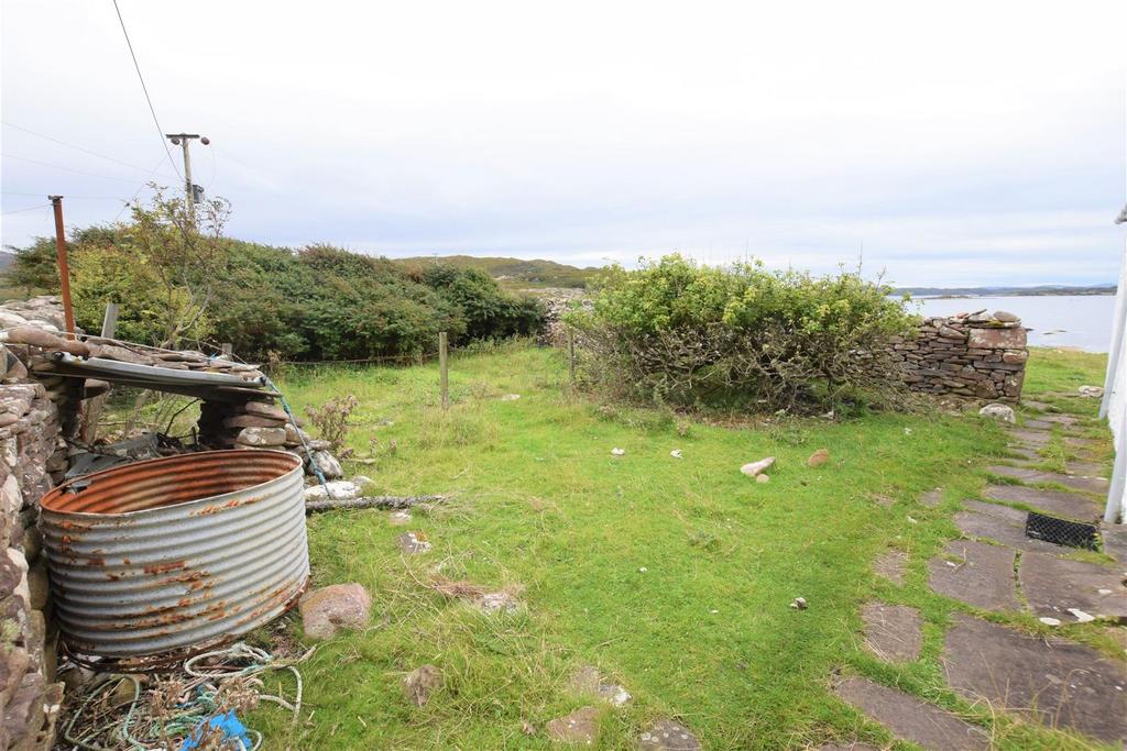 Front garden.JPG