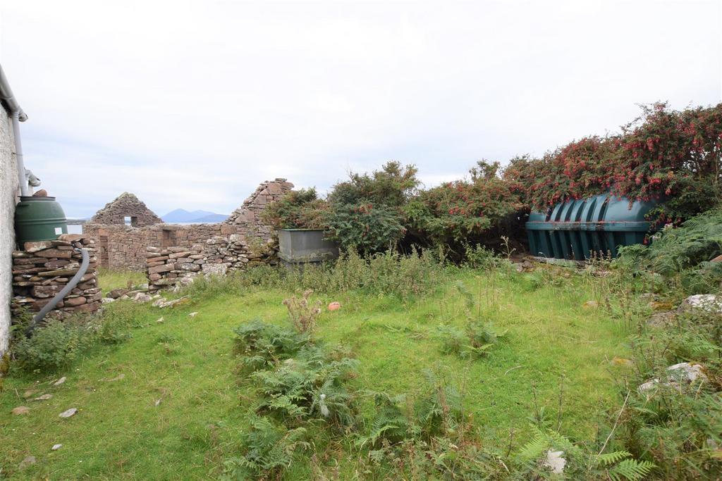 Back garden.JPG