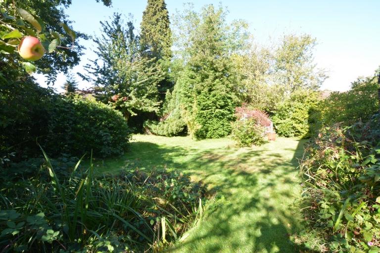 Side Gardens