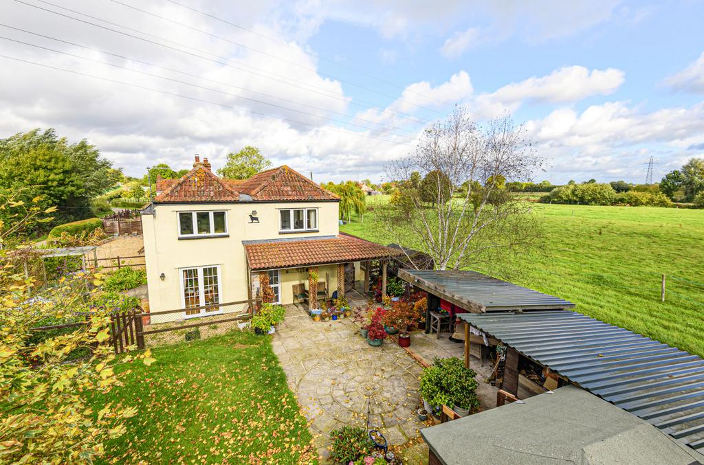 Back Garden