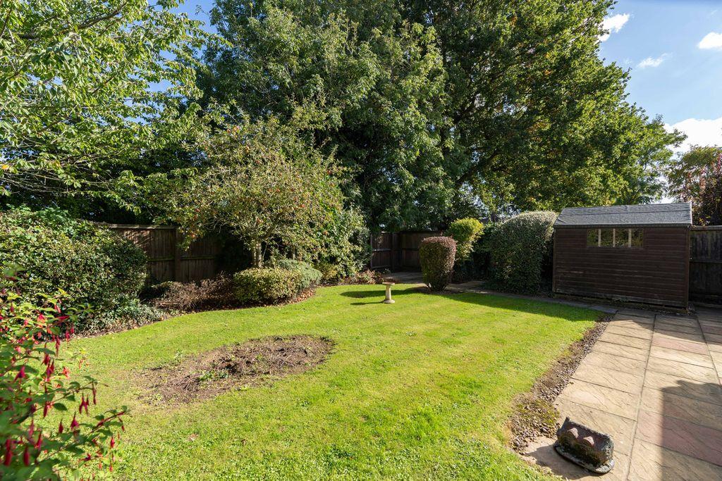 Garden at Back