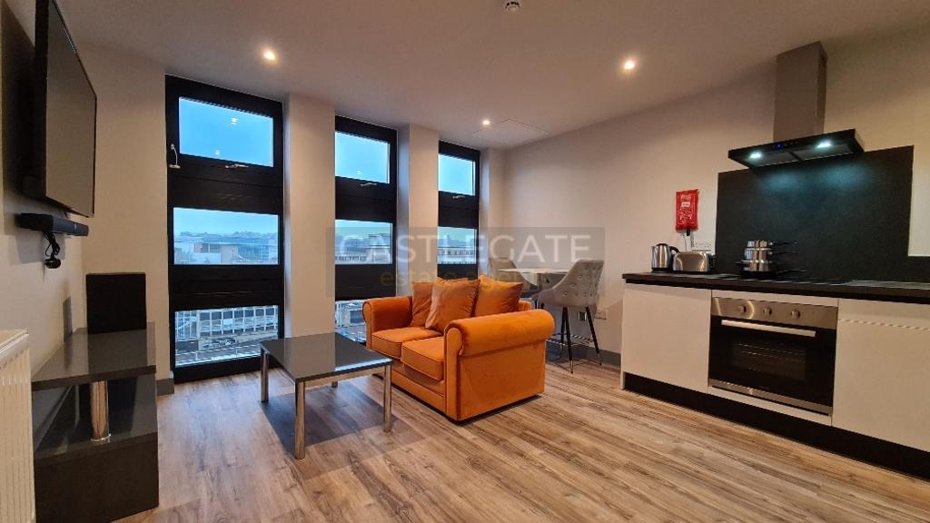 Renaissance Works 1 Bed Apartment (7)