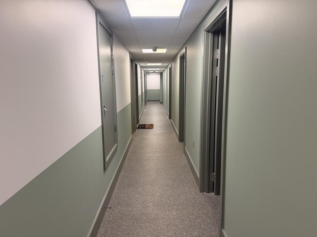 Img 1651