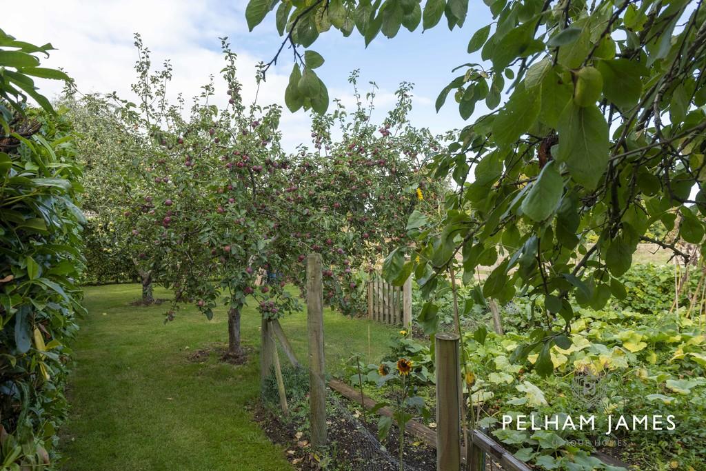 Kitchen Garden