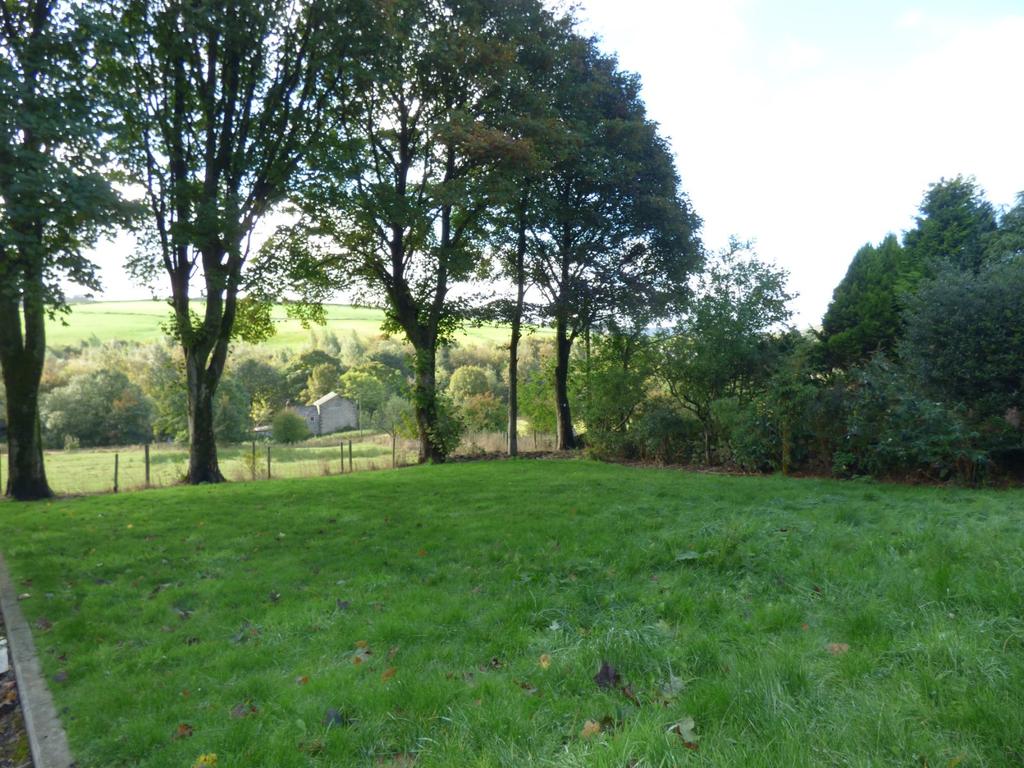 Lawn