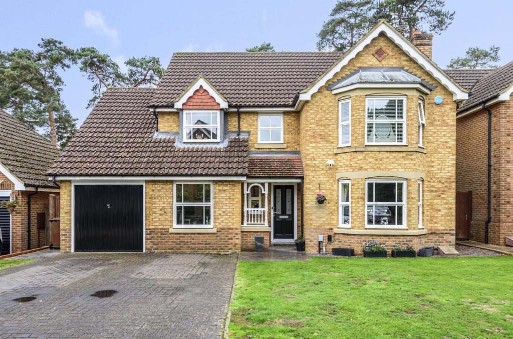 911937 (1).jpg