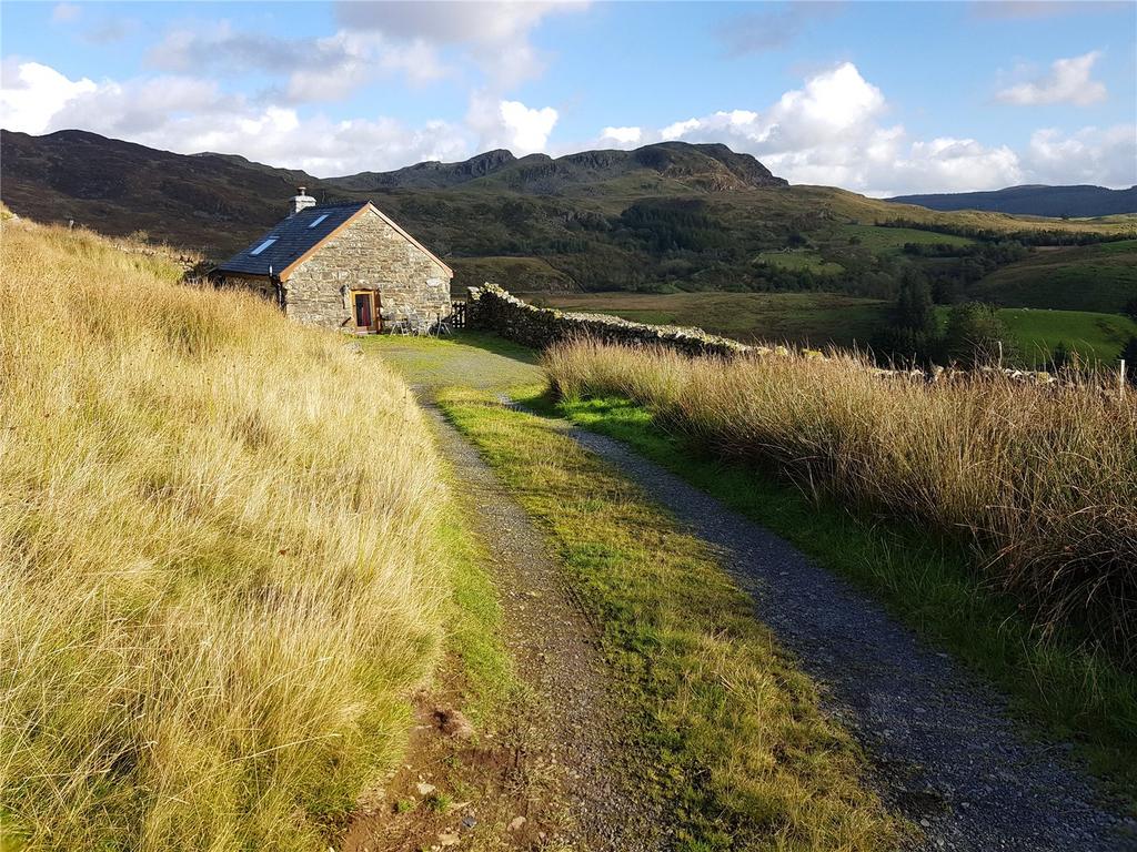 Picture 20
