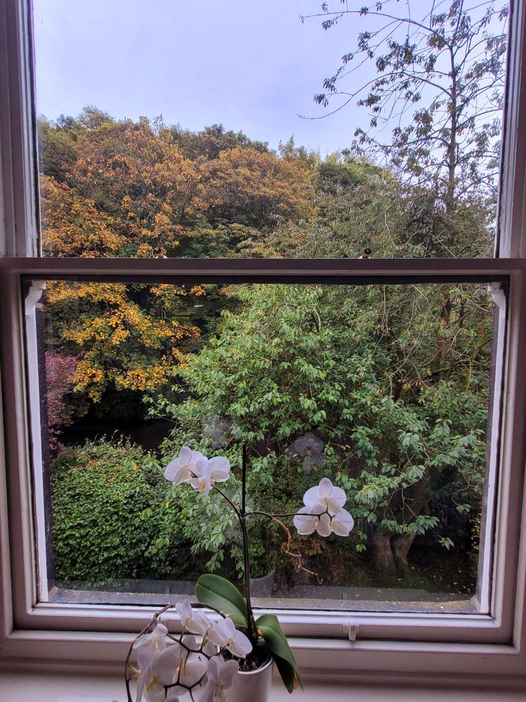 Photograph 35