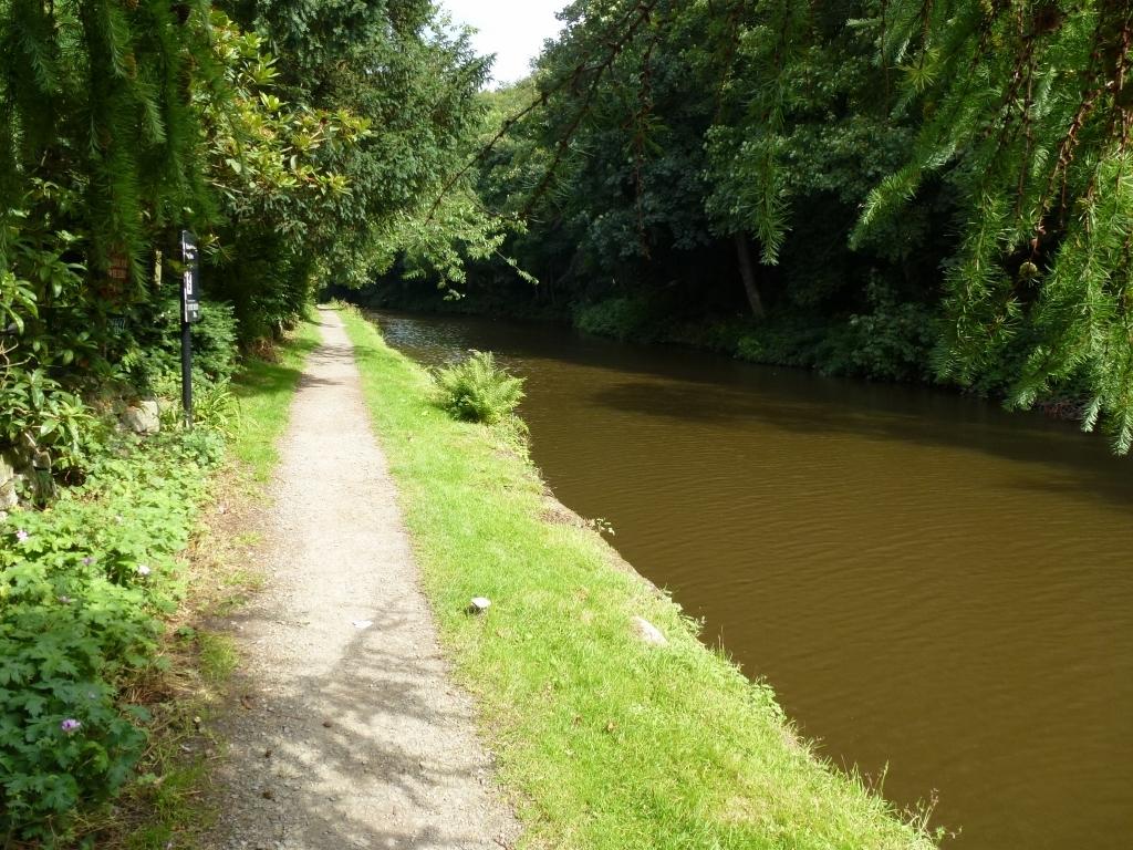 Photograph 7