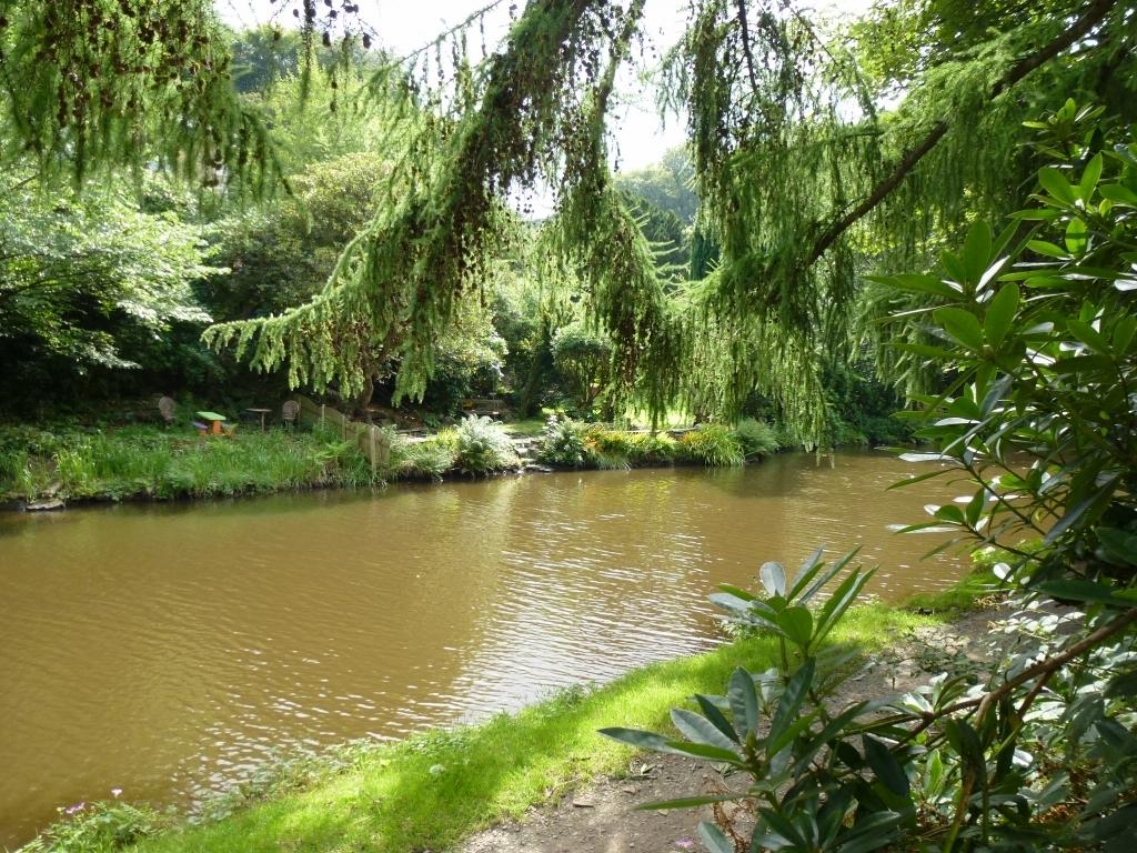 Photograph 8