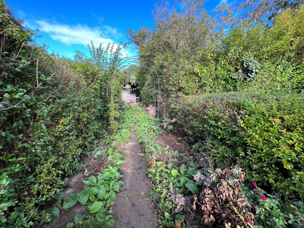 Top garden