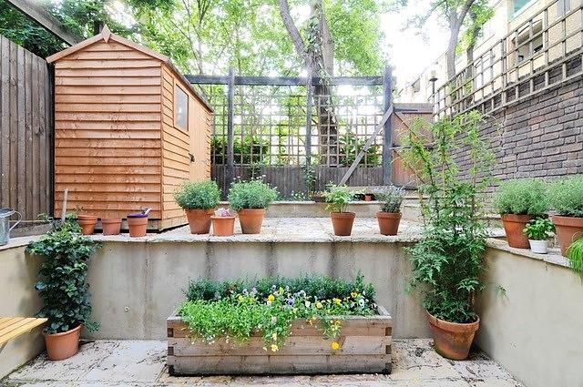 Garden
