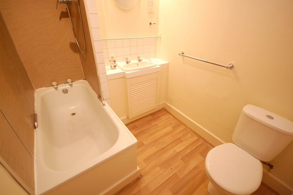 Picture 8