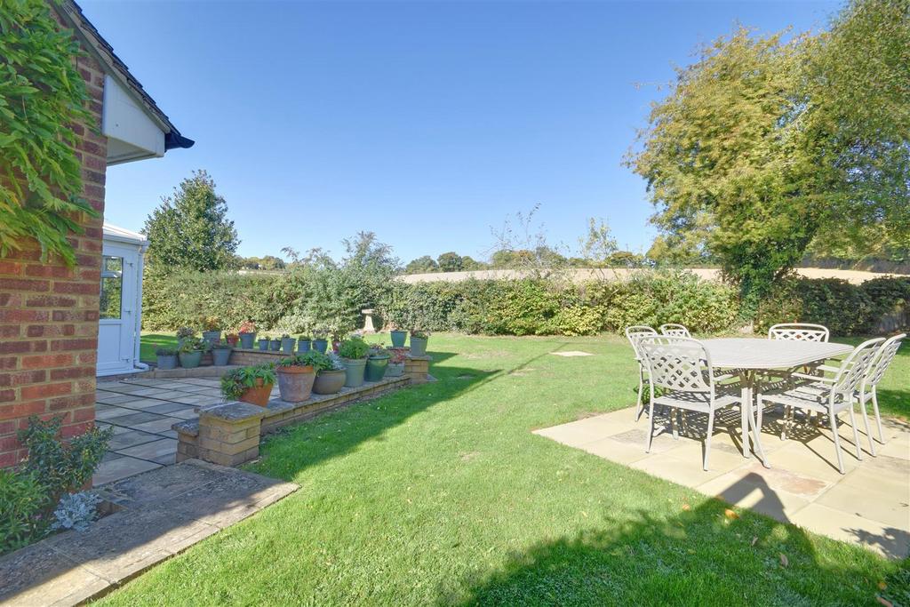 Rear gardens
