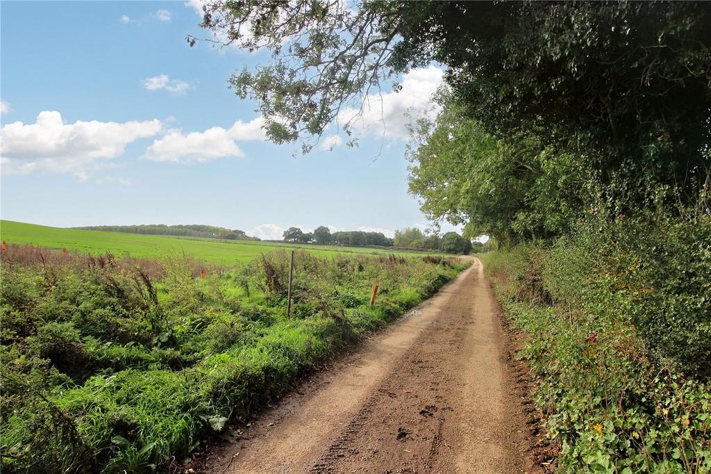 Country Lane