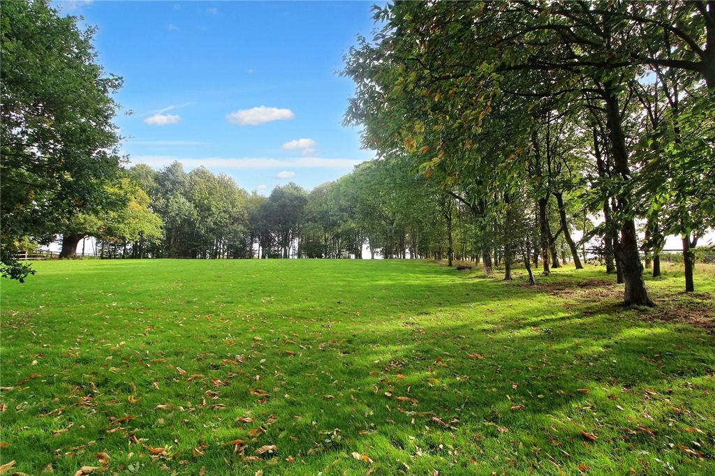 Grounds