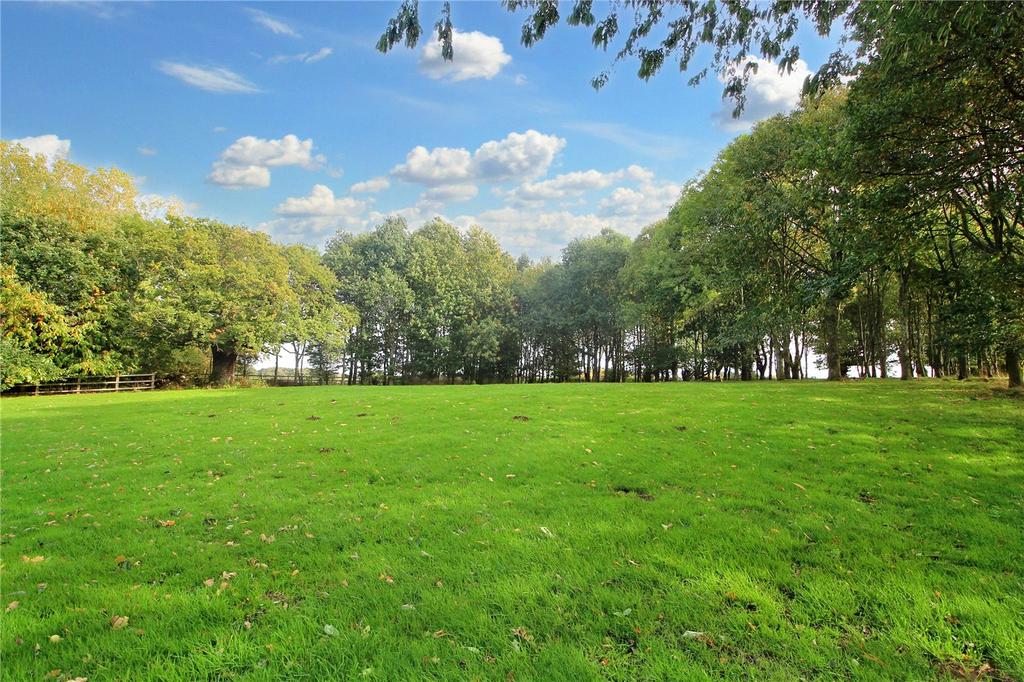Grounds