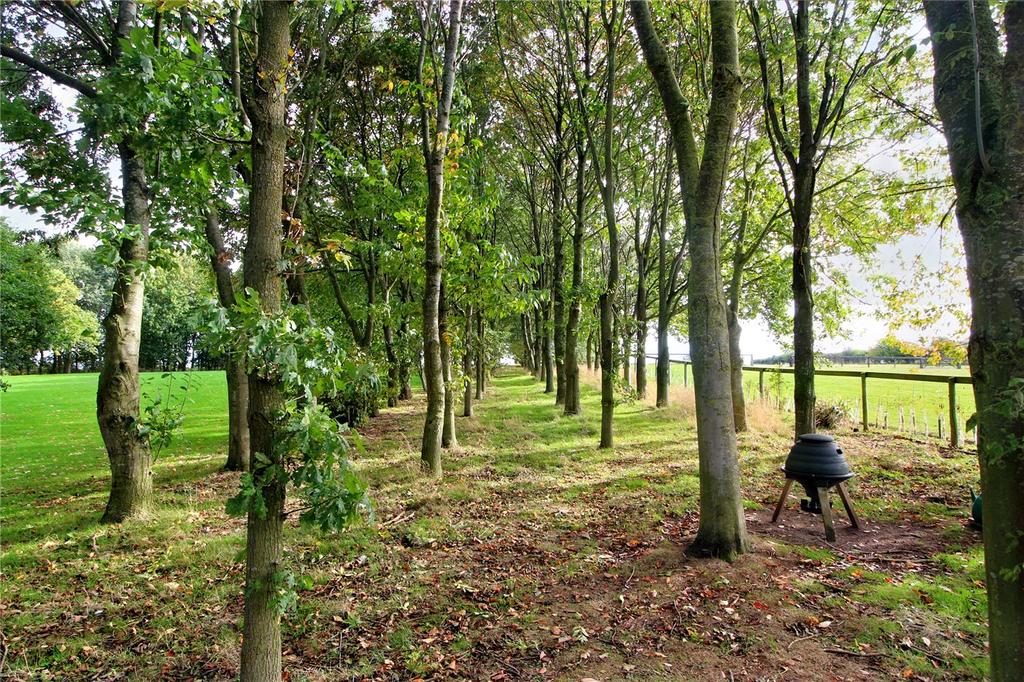 Grounds