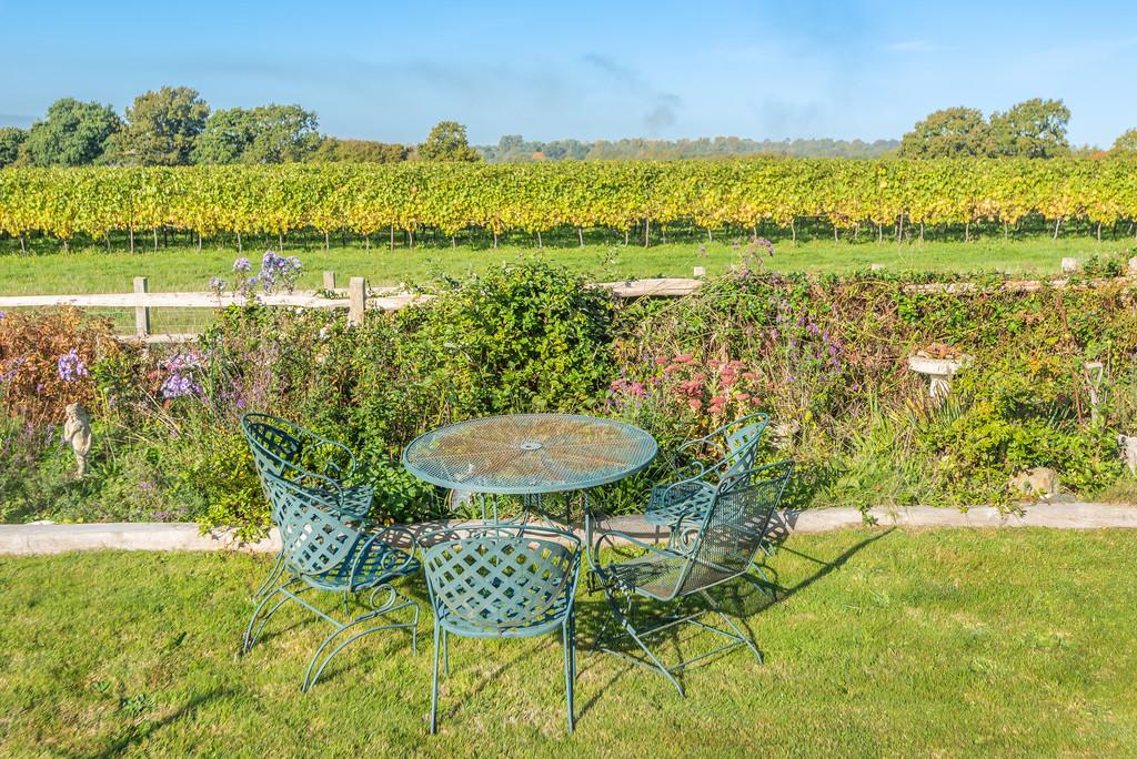 Rear Garden overlooking vineyard and South Downs