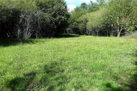 Land for sale, West Chilla, Beaworthy