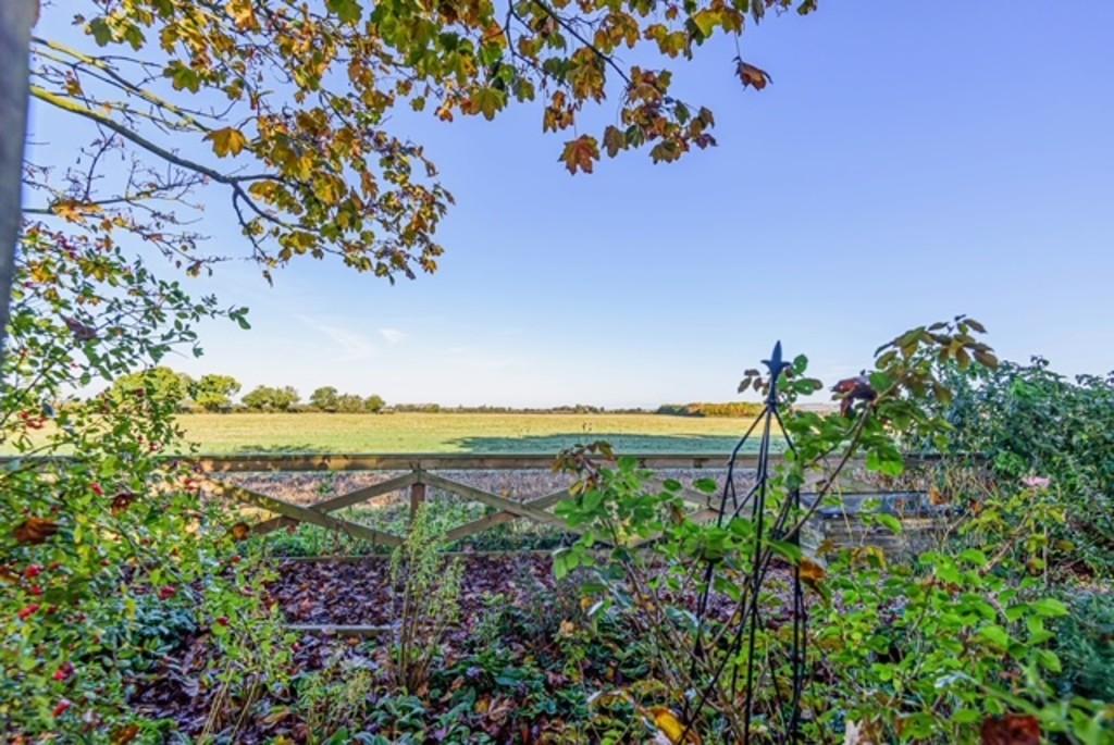 View from rear garden