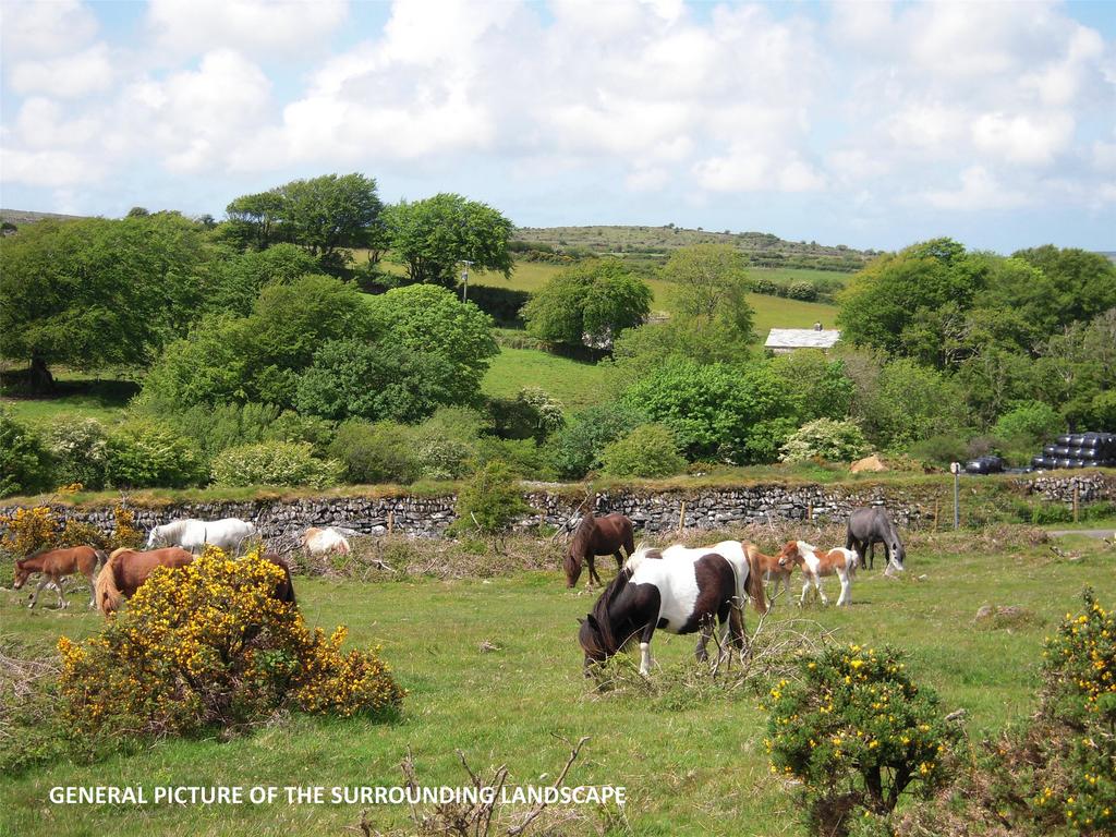 Nearby Trewint Downs