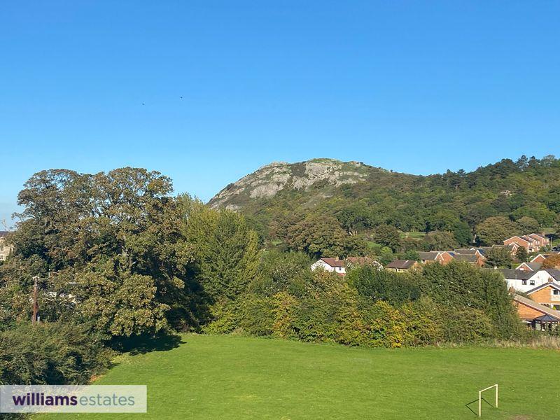 Hillside View