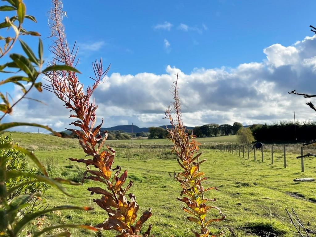 Burniebrae, Drum, Kinrossshire, KY13 3 bed bungalow £300,000