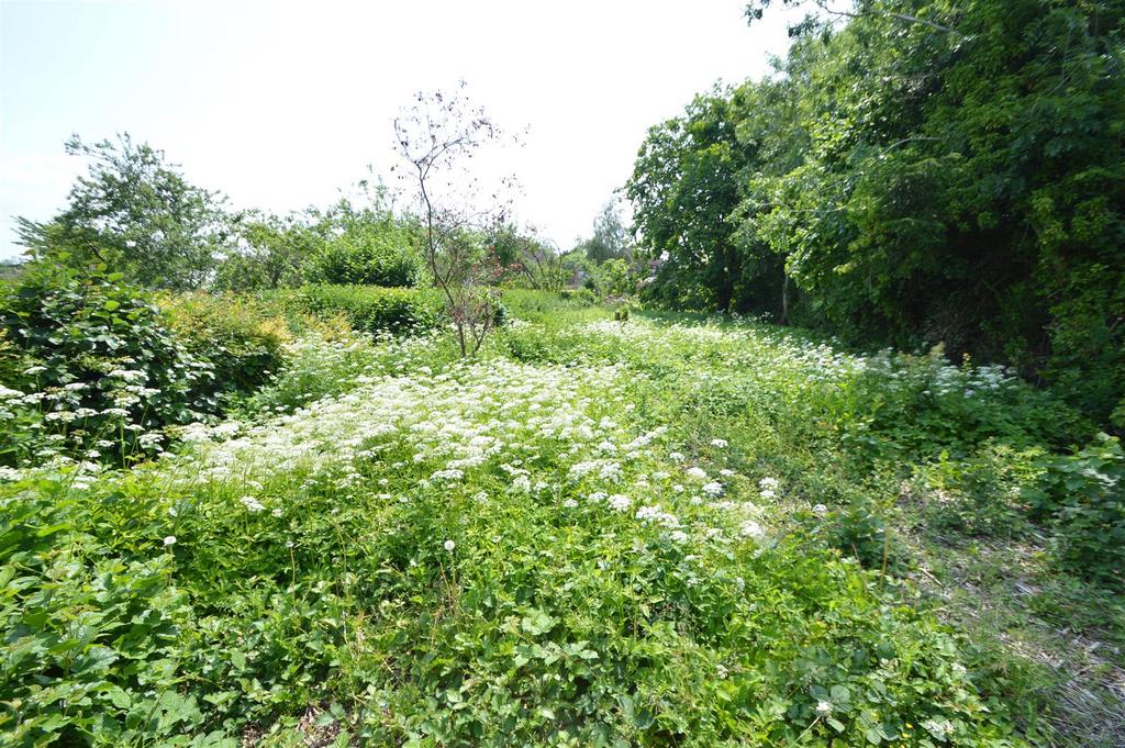 Dsc 0097.jpg