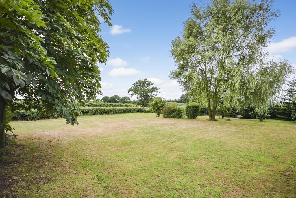 Garden1 N.jpg