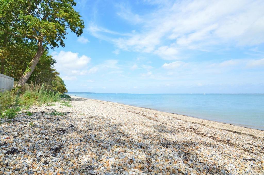 The Local Beach