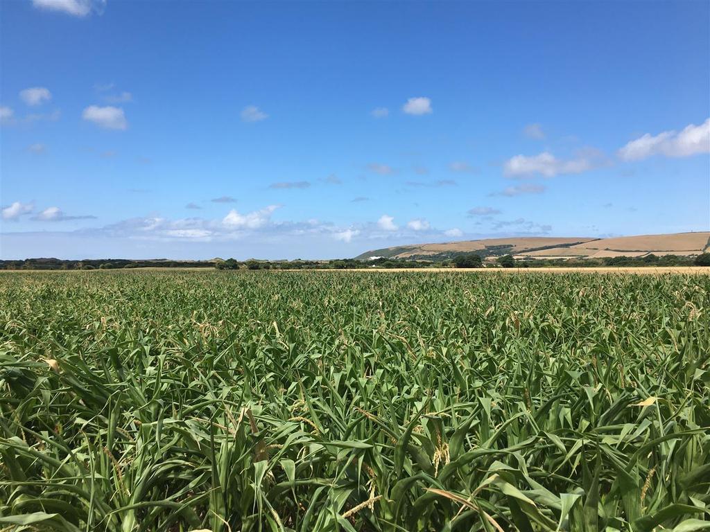 Braunton Land for sale £45,000