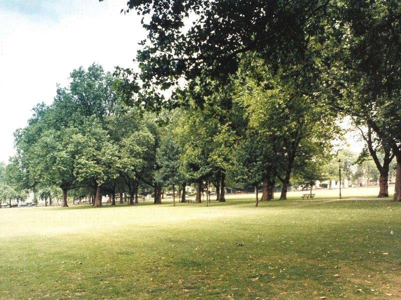 Highbury Fields