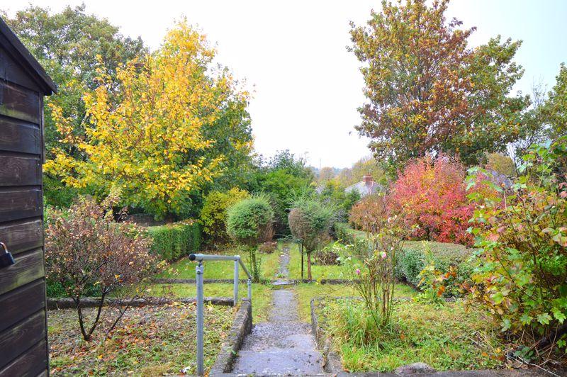 Back garden