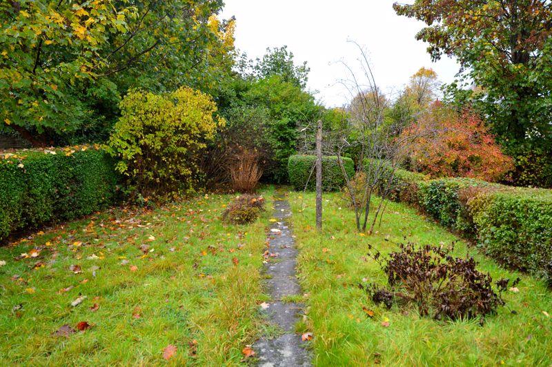 Back garden