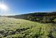 Abermeurig, Lampeter, SA48 photo 5