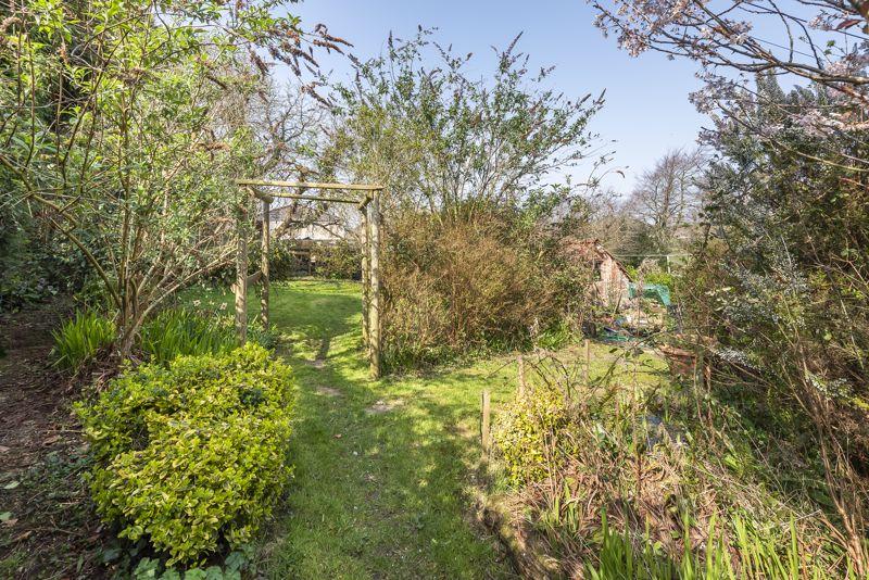 Garden in Summer