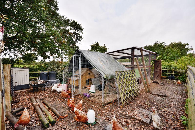 Chicken Coop