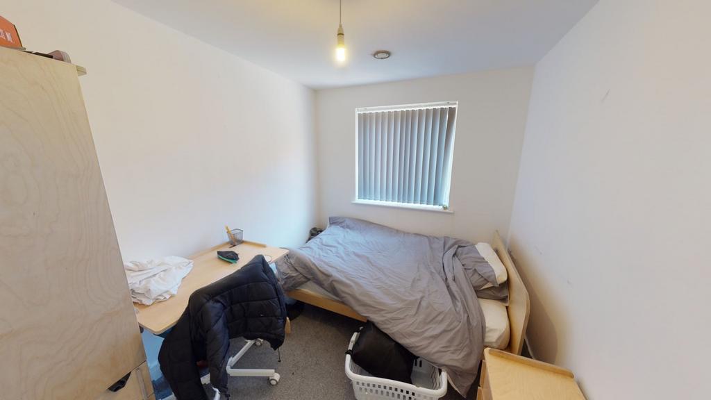 Image7