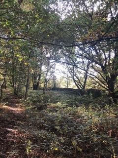 Land for sale - Woodlands on the edge of Horsforth at Moseley Beck, Leeds, West Yorkshire, LS16