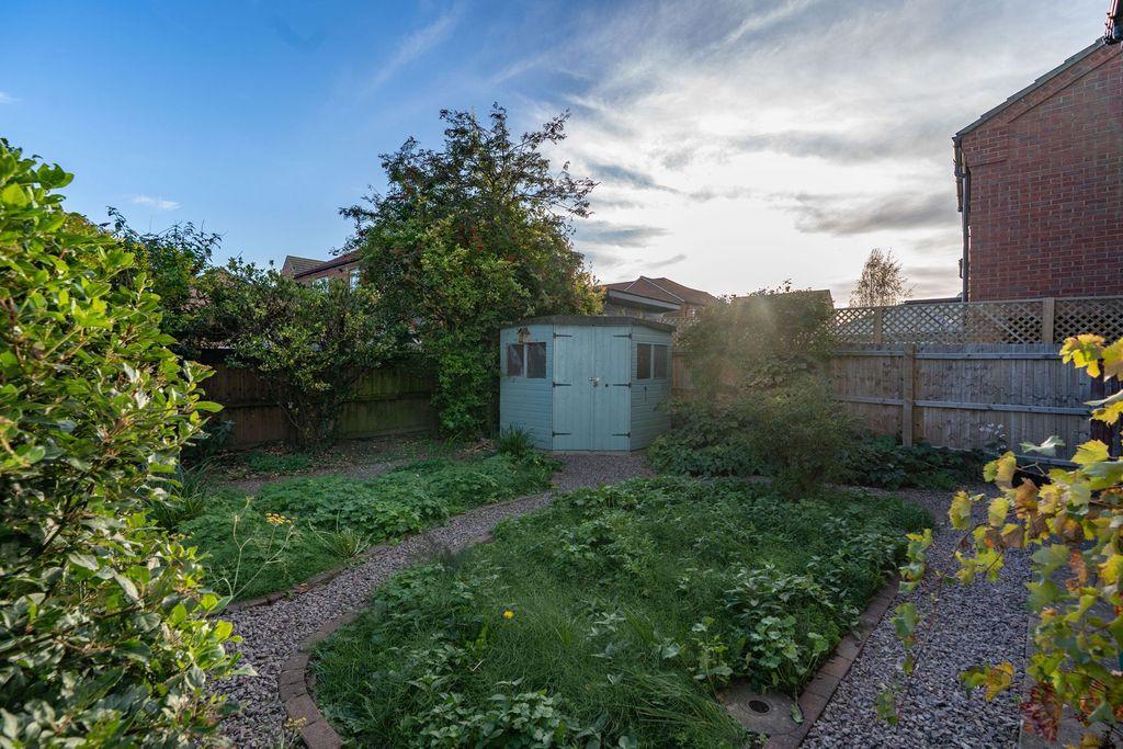 Garden at Back