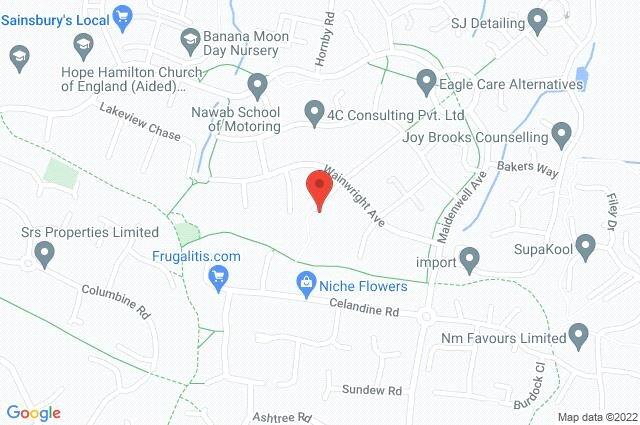 Google Maps Image