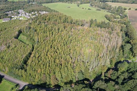 Woodland for sale, Brunston Plantation, Dailly, South Ayrshire KA26