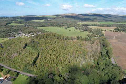 Woodland for sale, Brunston Plantation, Dailly, South Ayrshire KA26