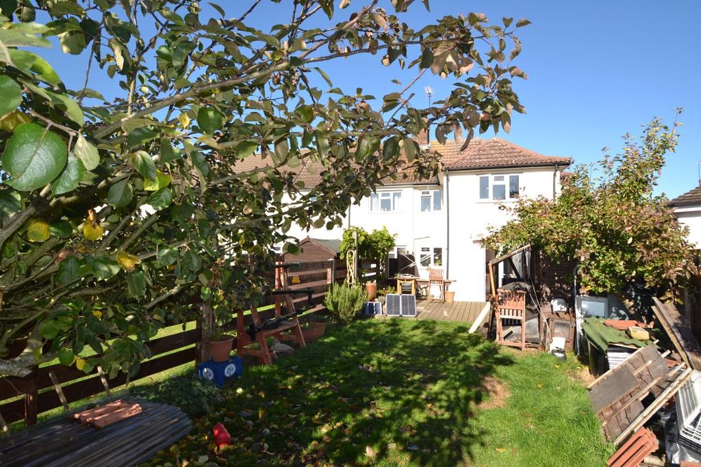 Garden 2.JPG